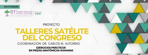 _talleres SATELITE BANNER WEB CONGRESO